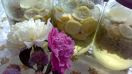 Bezinkový sirup