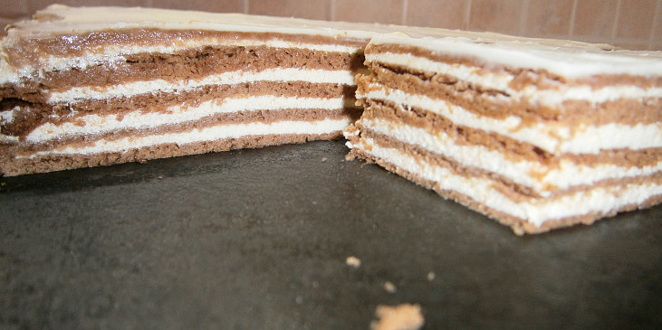 Kakaové medové řezy