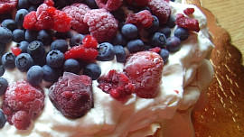 Dort Pavlova