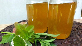 Mátový sirup do sodovky