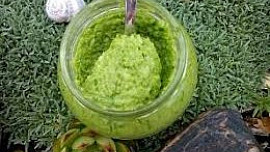 Pasta / pesto z česnekových výhonků