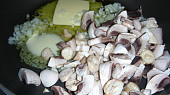 Houbové rizoto
